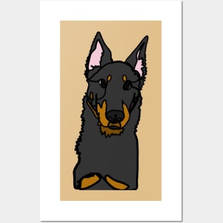 Beauceron Posters and Art